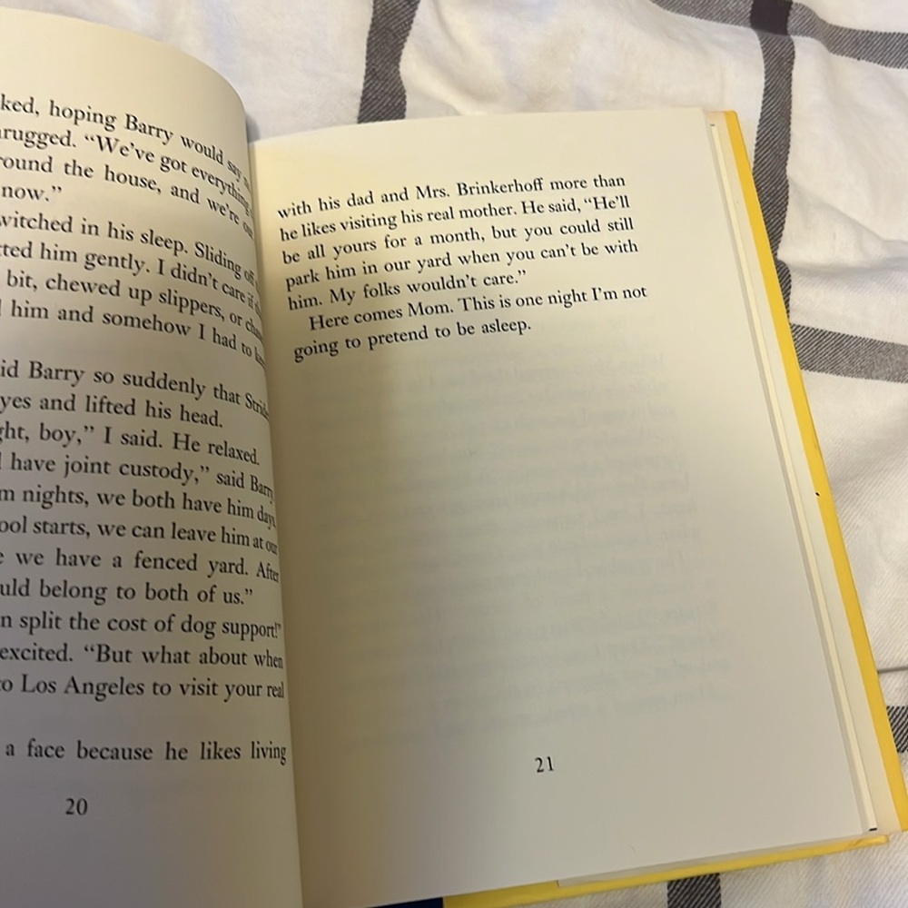 Strider Book - Picture 3 of 3